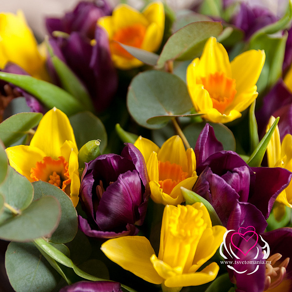 Купить Букет «Сияние луны» в  с бесплатной доставкой: цена, фото, описание