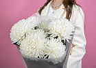 Купить Букет из 7 белых хризантем экстра в  с бесплатной доставкой: цена, фото, описание