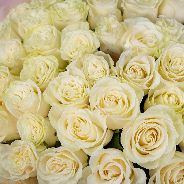 Букет из 51 белой розы 40-50 см (Эквадор) 5 Купить Букет из 51 белой розы 40-50 см (Эквадор) в  с бесплатной доставкой: цена, фото, описание