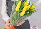 Купить Букет 9 жёлтых тюльпанов в плёнке в Санкт-Петербурге с бесплатной доставкой: цена, фото, описание