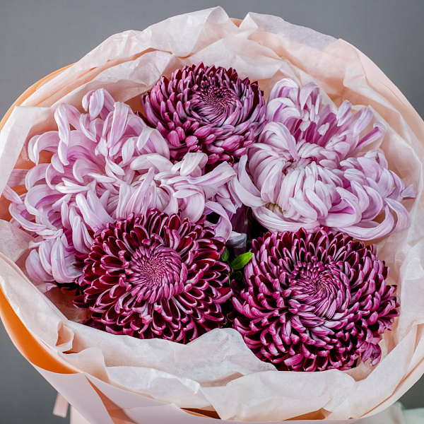 Купить Букет из 5 хризантем экстра в  с бесплатной доставкой: цена, фото, описание