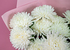 Купить Букет из 11 белых хризантем экстра в  с бесплатной доставкой: цена, фото, описание