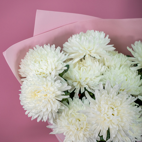 Купить Букет из 11 белых хризантем экстра в  с бесплатной доставкой: цена, фото, описание