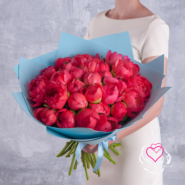 Купить Букет из 35 коралловых пионов (Стандарт) в  с бесплатной доставкой: цена, фото, описание