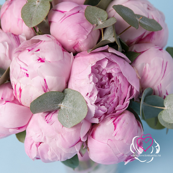 Купить Букет невесты из розовых пионов Сара Бернар в  с бесплатной доставкой: цена, фото, описание