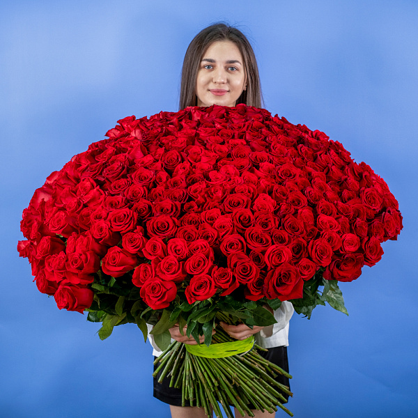 Купить Букет из 300 красных роз 70 см (Эквадор) в  с бесплатной доставкой: цена, фото, описание