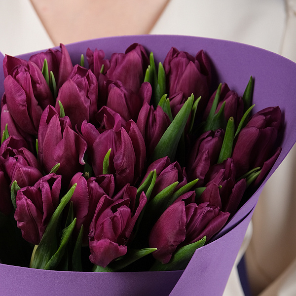 Купить Букет 25 фиолетовых тюльпанов в  с бесплатной доставкой: цена, фото, описание