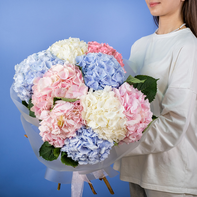 Букет из 9 гортензий микс