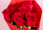 Купить Букет из 6 красных роз 50 см (Эквадор) в  с бесплатной доставкой: цена, фото, описание