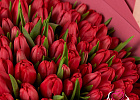 Купить Букет 101 красный тюльпан в Санкт-Петербурге с бесплатной доставкой: цена, фото, описание