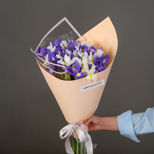 Купить Букет из 25 ирисов микс в упаковке в  с бесплатной доставкой: цена, фото, описание