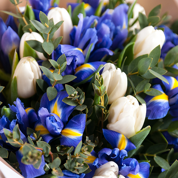 Купить Букет «Ирисы в снегу» из ирисов и тюльпанов в  с бесплатной доставкой: цена, фото, описание