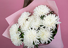 Купить Букет из 11 белых хризантем экстра в  с бесплатной доставкой: цена, фото, описание