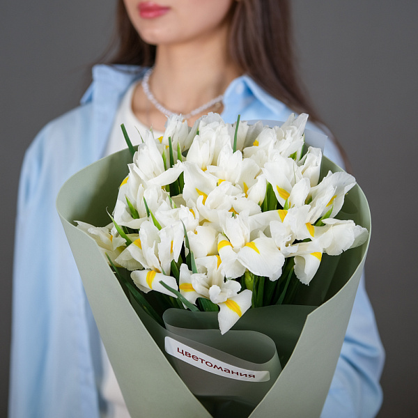 Купить Букет из 17 белых ирисов в упаковке в  с бесплатной доставкой: цена, фото, описание
