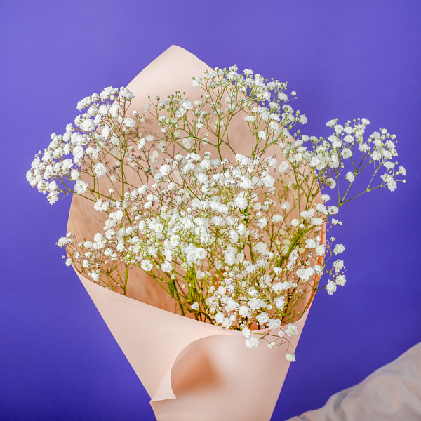 Купить Букет из 3 гипсофил в  с бесплатной доставкой: цена, фото, описание