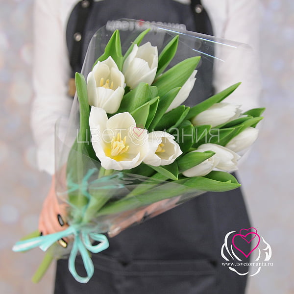 Купить Букет 9 белых тюльпанов в плёнке в  с бесплатной доставкой: цена, фото, описание