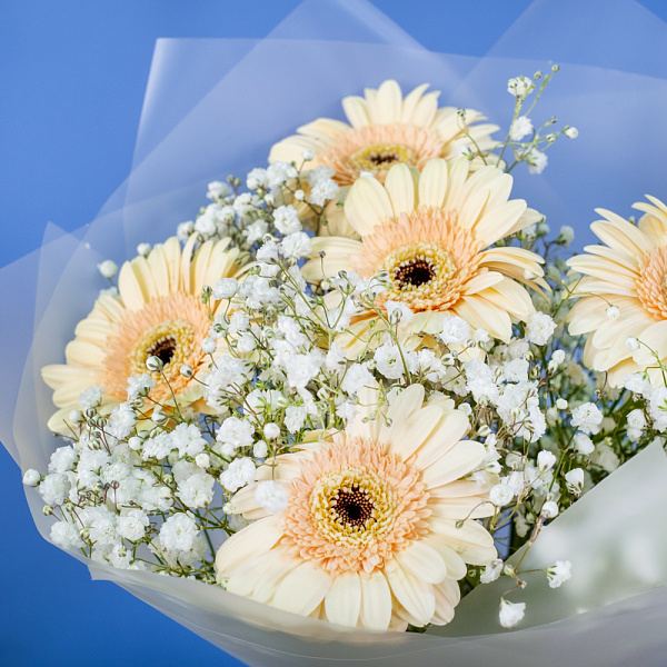 Купить Букет из гербер с гипсофилами в  с бесплатной доставкой: цена, фото, описание