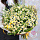 Купить Букет «Русское поле» в  с бесплатной доставкой: цена, фото, описание
