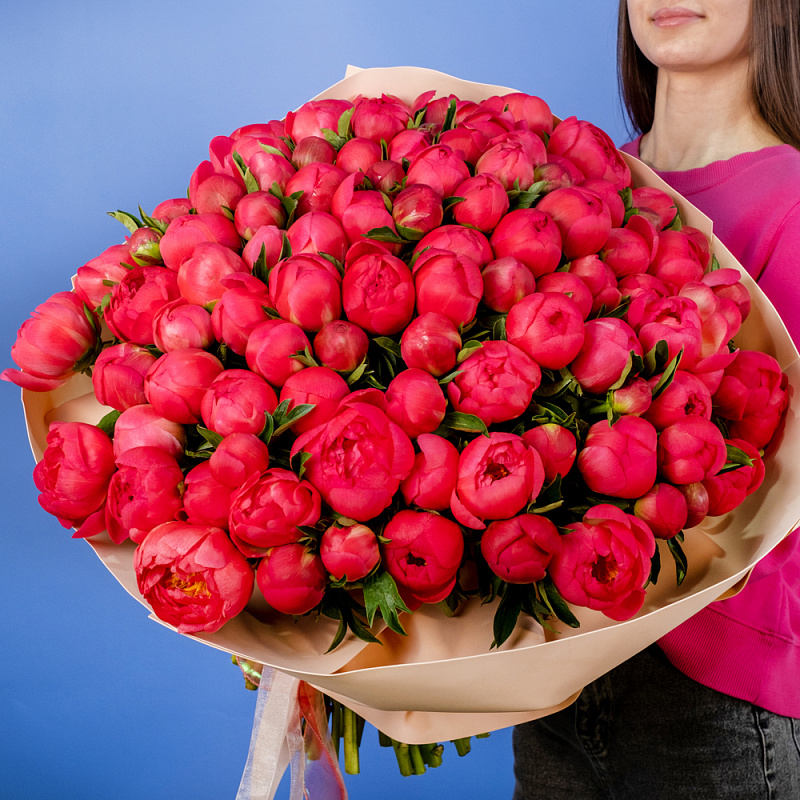 Букет из 101 кораллового пиона (Премиум)