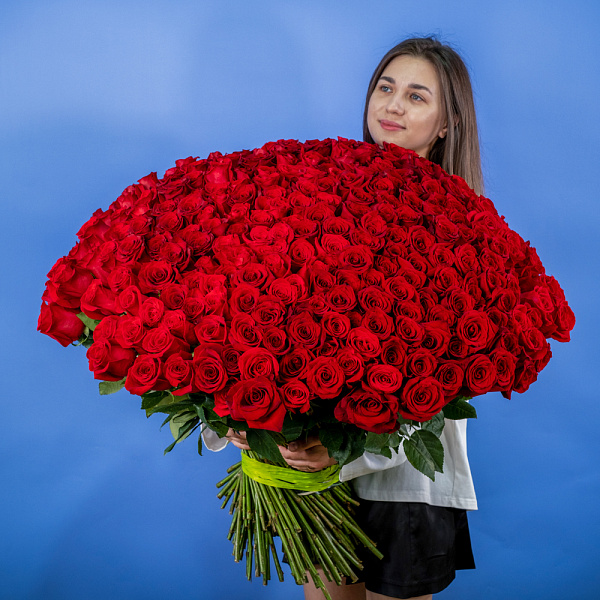 Купить Букет из 300 красных роз 70 см (Эквадор) в  с бесплатной доставкой: цена, фото, описание