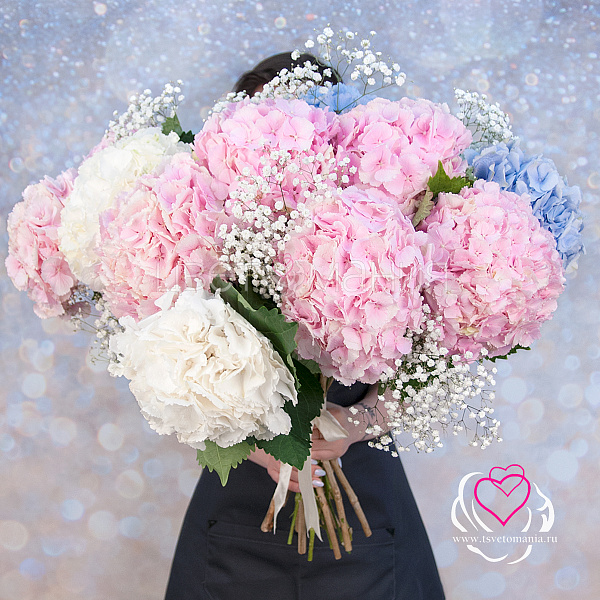Купить Букет из гортензий с гипсофилами «Воздушный замок» в  с бесплатной доставкой: цена, фото, описание