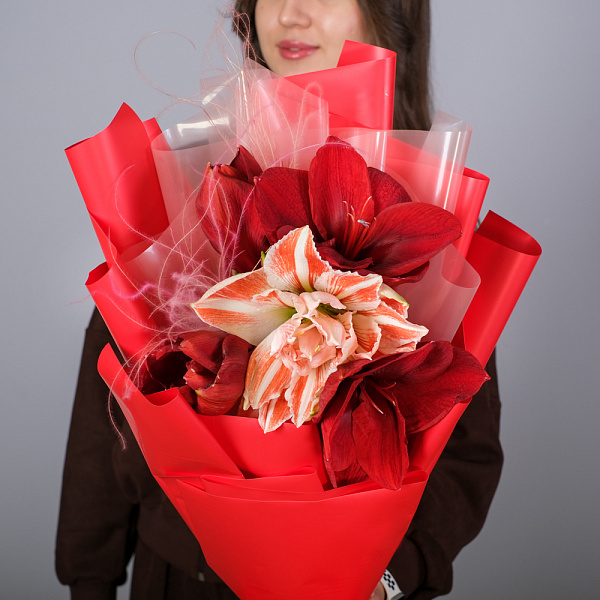Купить Букет из 3 амариллисов в  с бесплатной доставкой: цена, фото, описание