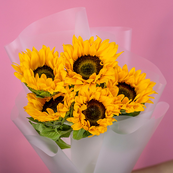 Купить Букет из 5 подсолнухов в  с бесплатной доставкой: цена, фото, описание