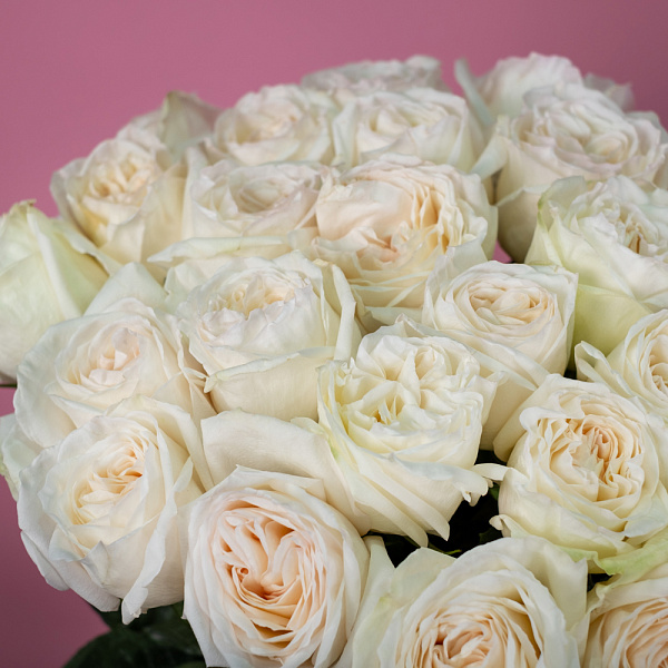 Купить Пионовидная роза Вайт Охара 50 см (Эквадор) в  с бесплатной доставкой: цена, фото, описание