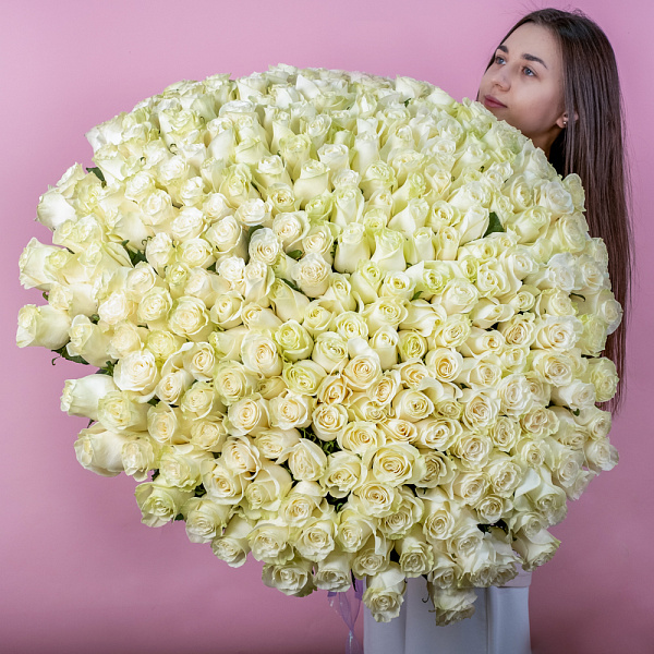 Купить Букет из 300 белых роз 70 см (Эквадор) в  с бесплатной доставкой: цена, фото, описание