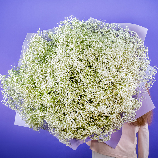 Купить Букет из 101 гипсофилы в  с бесплатной доставкой: цена, фото, описание