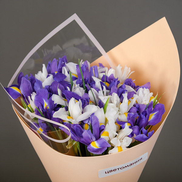 Купить Букет из 25 ирисов микс в упаковке в  с бесплатной доставкой: цена, фото, описание