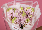 Купить Букет из 11 розовых гиацинтов в  с бесплатной доставкой: цена, фото, описание