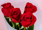 Купить Букет из 4 красных роз 50 см (Эквадор) в  с бесплатной доставкой: цена, фото, описание