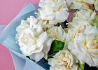 Купить Букет из 25 белых французских роз в  с бесплатной доставкой: цена, фото, описание