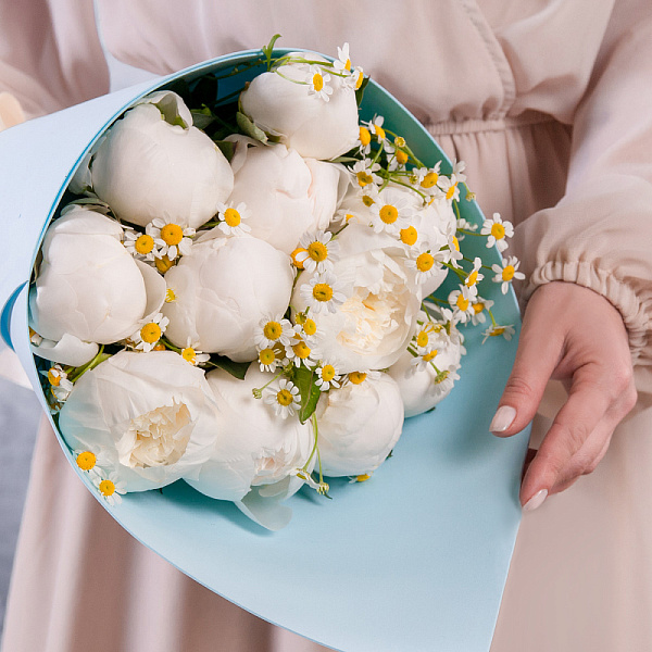 Купить Букет из 11 белых пионов (Премиум) с матрикарией в  с бесплатной доставкой: цена, фото, описание