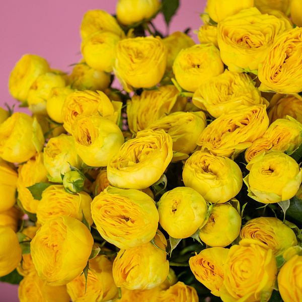 Купить Кустовая желтая роза в  с бесплатной доставкой: цена, фото, описание