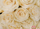 Купить Букет из 25 белых роз 40 см (Эквадор) в упаковке в Санкт-Петербурге с бесплатной доставкой: цена, фото, описание