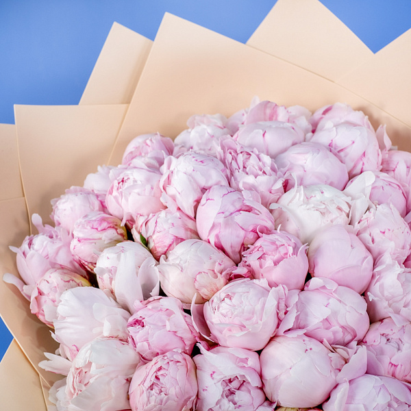 Купить Букет из 50 розовых пионов (Премиум) в  с бесплатной доставкой: цена, фото, описание