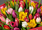Купить Букет 51 тюльпан микс в упаковке в  с бесплатной доставкой: цена, фото, описание