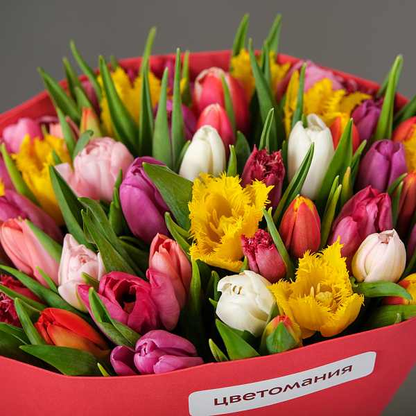 Купить Букет 51 тюльпан микс в упаковке в  с бесплатной доставкой: цена, фото, описание
