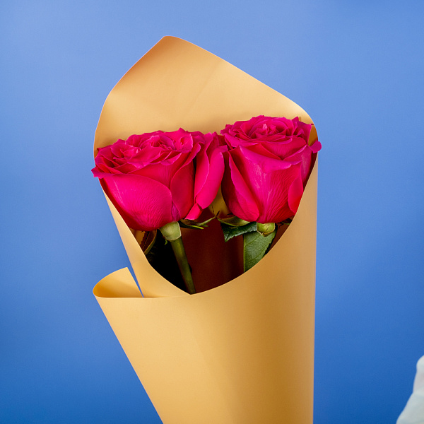 Купить Букет из 2 розовых роз 50 см (Эквадор) в  с бесплатной доставкой: цена, фото, описание