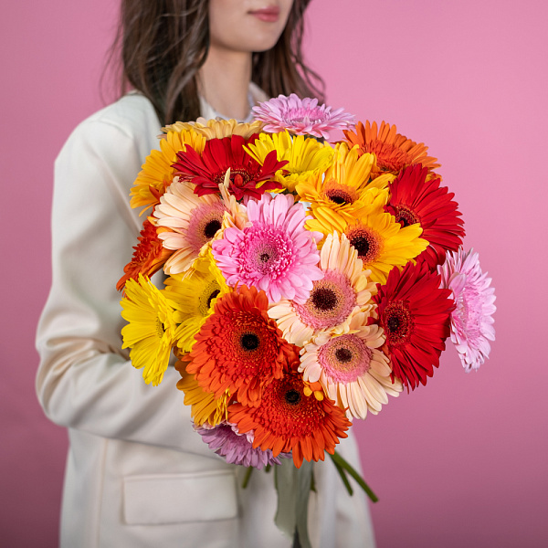 Купить Гербера микс в  с бесплатной доставкой: цена, фото, описание