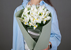 Купить Букет из 17 белых ирисов в упаковке в  с бесплатной доставкой: цена, фото, описание