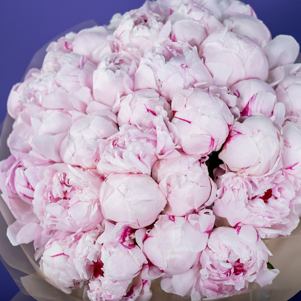 Купить Букет из 35 розовых пионов (Премиум) в  с бесплатной доставкой: цена, фото, описание