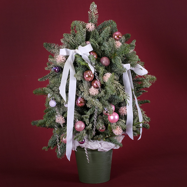 Купить Ёлка «Пудровая» 60 см в  с бесплатной доставкой: цена, фото, описание