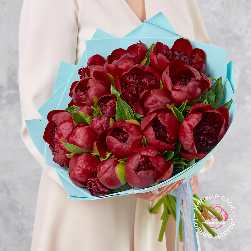 Букет из 19 бордовых пионов (Премиум)