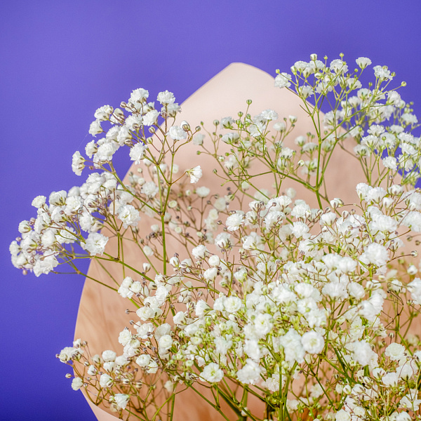 Купить Букет из 3 гипсофил в  с бесплатной доставкой: цена, фото, описание