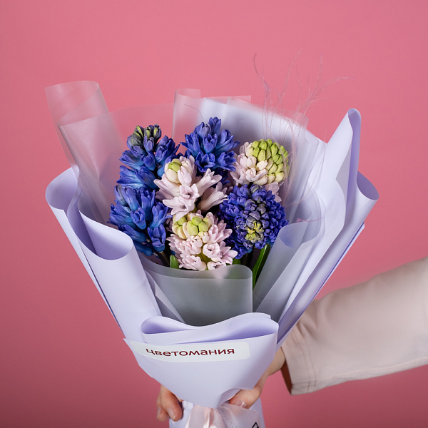 Купить Букет из 7 гиацинтов микс в  с бесплатной доставкой: цена, фото, описание