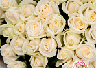 Купить Букет из 101 белой розы 60 см (Россия) в Санкт-Петербурге с бесплатной доставкой: цена, фото, описание