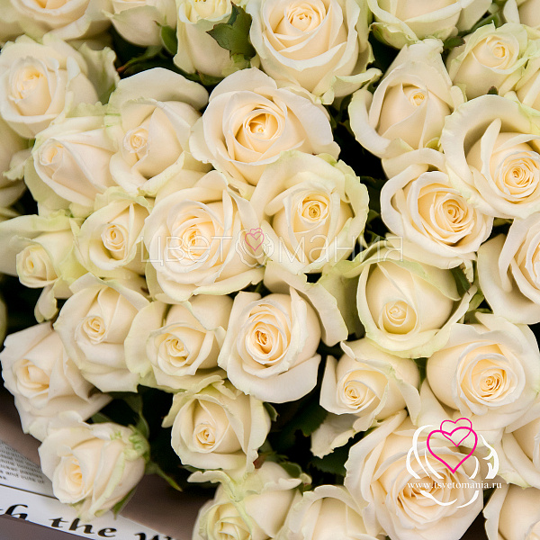 Купить Букет из 101 белой розы 60 см (Россия) в  с бесплатной доставкой: цена, фото, описание